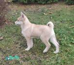 photo_2025-11-14_21-42-19