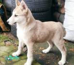 photo_2025-11-14_21-42-27