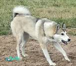 photo_2025-11-14_21-43-04