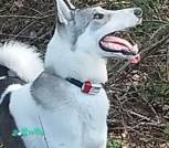 photo_2025-11-14_21-43-10