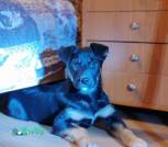 1000017313_1024x1365