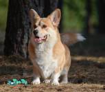 изображение_viber_2025-11-30_19-47-29-175