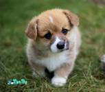 xanthos10EF189F8D-B01B-0111-D37E-986176AA6C8A