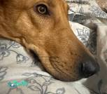 photo_2025-11-26_19-30-48