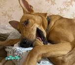 photo_2025-11-26_19-50-42