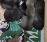 IMG-b2c9b0afe8f0b13082e901079682beb7-V