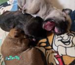 IMG-29bf9ff5615e35dae8f1efe6c64da6a9-V