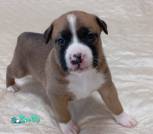 IMG_20251122_155942_1