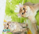 IMG_20251116_131019_1