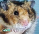 Screenshot_2025-12-06-08-33-00-638_com.miui.gallery