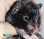 Screenshot_2025-12-06-08-35-43-110_com.miui.gallery