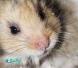 Screenshot_2025-12-06-08-39-59-697_com.miui.gallery