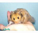 Screenshot_2025-12-06-08-40-03-605_com.miui.gallery