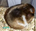 Screenshot_2025-12-06-08-53-29-546_com.miui.gallery