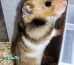 Screenshot_2025-12-06-08-53-31-326_com.miui.gallery