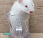 Screenshot_2025-12-06-08-47-19-203_com.miui.gallery