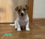 Photoroom_20251208_114342