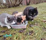 изображение_viber_2025-12-09_19-44-18-660