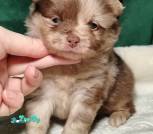 bd0615f3-b2ec-46ee-aebd-6df45ababb19