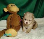 cropped-image-1765918194394llvtq