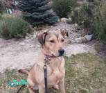 1000018827_1024x1359