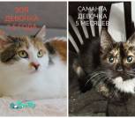 IMG_20251228_000707_763