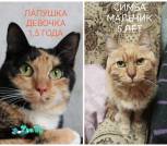 IMG_20251228_000707_817