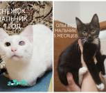 IMG_20251228_000707_916