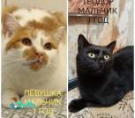 IMG_20251228_000708_215