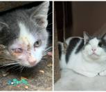 IMG_20251228_000708_255