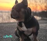 0-02-05-4bd6ef74107cf634687d640002eabc68a77f54a79fd2b491ca31d2d3845f4a3d_d3c610defc0a54eb