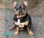 0-02-05-917ed6c1c4484e165300ba3b5e4fba5becacc2a1cdf71e57b72f6be9da465d18_60644d1e4a93470e