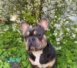 0-02-05-a441eaa122939f3c1779228754755a5148cd683c6db2a1b774a2175ec8a54458_1281c9456d0cddaa