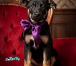 image-20-01-26-16-37-6