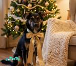 image-20-01-26-16-37-3