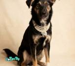 image-20-01-26-16-37