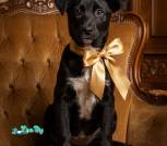 image-20-01-26-16-37-5