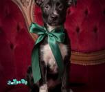 image-20-01-26-16-37-7