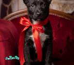 image-20-01-26-16-37-4