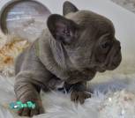 0-02-05-38cc6e2a25cd543141f4ad26abe9265f94634aa1f121897b575353d51b83766a_7deaf6cc451a1786