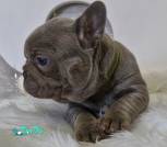 0-02-05-3ee67807ca9d6f90b1891160a3e7108e07f230b42598b568ce1819a5490584e0_74408e7da90e65a0