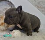 0-02-05-42548fb83e01ea3e603a3d0bff782f26f5e908e9309c598a74c02dcae626af23_977e4bfb126bf372