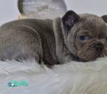 0-02-05-deae56b4662ec1e017a08d8bf893f4dae1ad8d2e9f6adc784f7e1d3cba4dc525_7e7ba5640e5e21a5