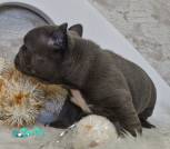 0-02-05-dfaf5a7745b419bc1ee35b963ad82246fbe74e33b49c34021773f6d6cbdcd304_3c8c6ea52a147b68