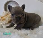 0-02-05-fcddcf105734dca33fff7ed69d1be0b8a90d22a01d9de768524804a50e6d631c_52000f37d2f516d2