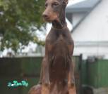 изображение_viber_2025-10-20_19-13-21-902