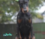 изображение_viber_2025-10-20_19-16-19-576