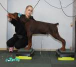 изображение_viber_2025-12-28_08-59-04-394