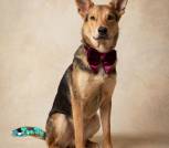 image-20-01-26-16-37-1