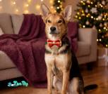 image-20-01-26-16-37-2